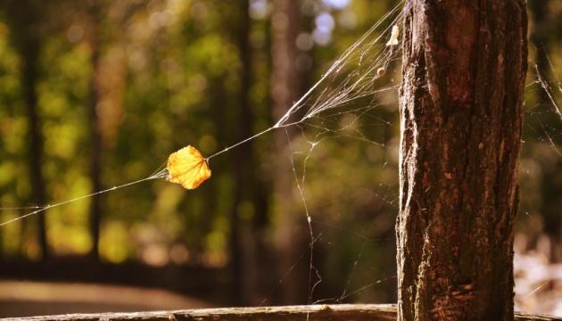 В Україні в неділю очікується суха погода, а температура вдень підніметься до 28 градусів.