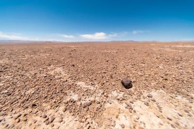 Хондритовый метеорит. Фото © Shutterstock