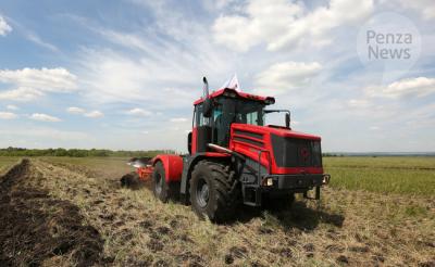 В Пензенской области в 2021 году в сельхозоборот введена 31 тыс. га пашни