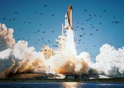 Русская рулетка Space Shuttle: Что привело к гибели 