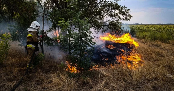 На Миколаївщині протягом доби рятувальники ліквідували 29 загорянь.