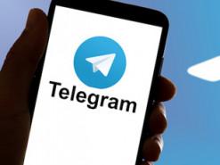 У адміністрації Амстердаму заборонили користуватися Telegram під час роботи.