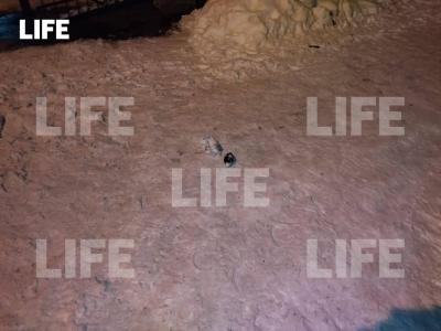 Место, где неизвестный подкинул гранату к дверям детского сада в Воскресенске. Фото © LIFE