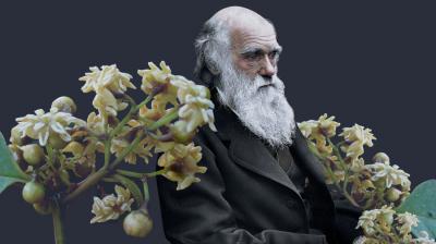 Кошмар Дарвина: Удивительная находка в Китае помогла раскрыть 